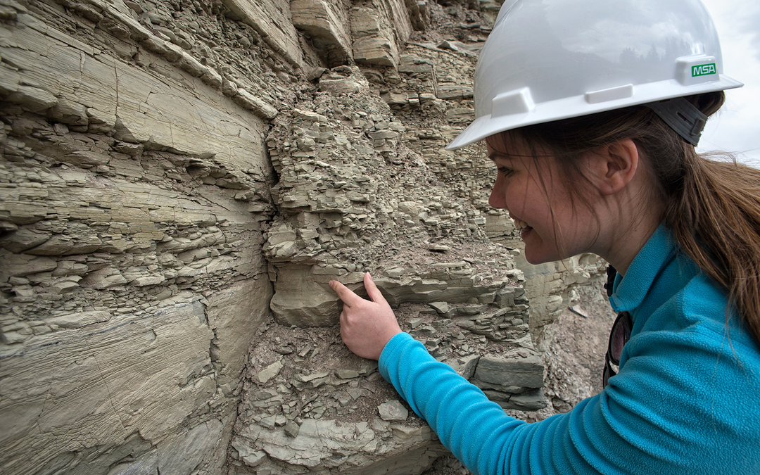 Geology and Petroleum Geology, BSc