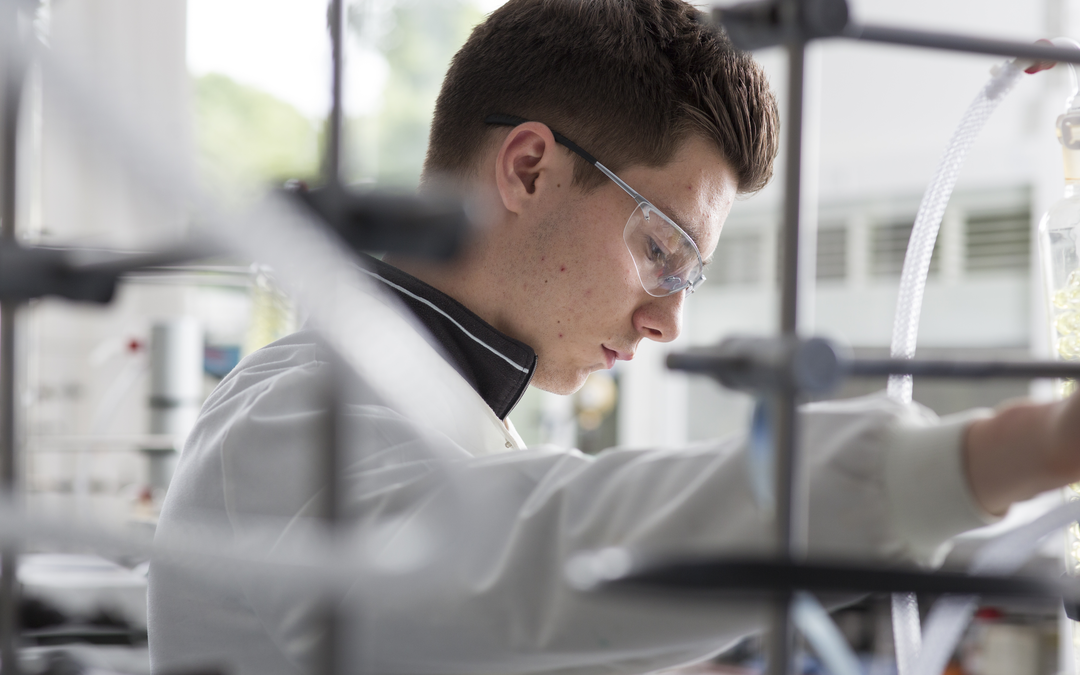 Biotechnology (Applied Molecular Biology), BSc