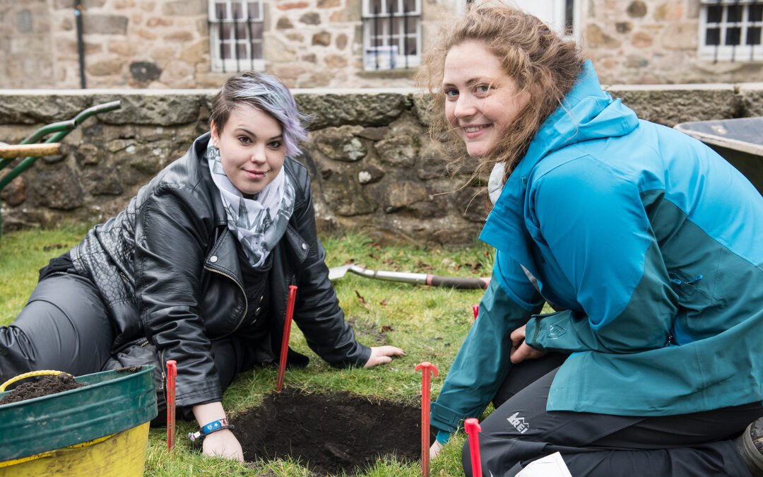 Archaeology, BSc