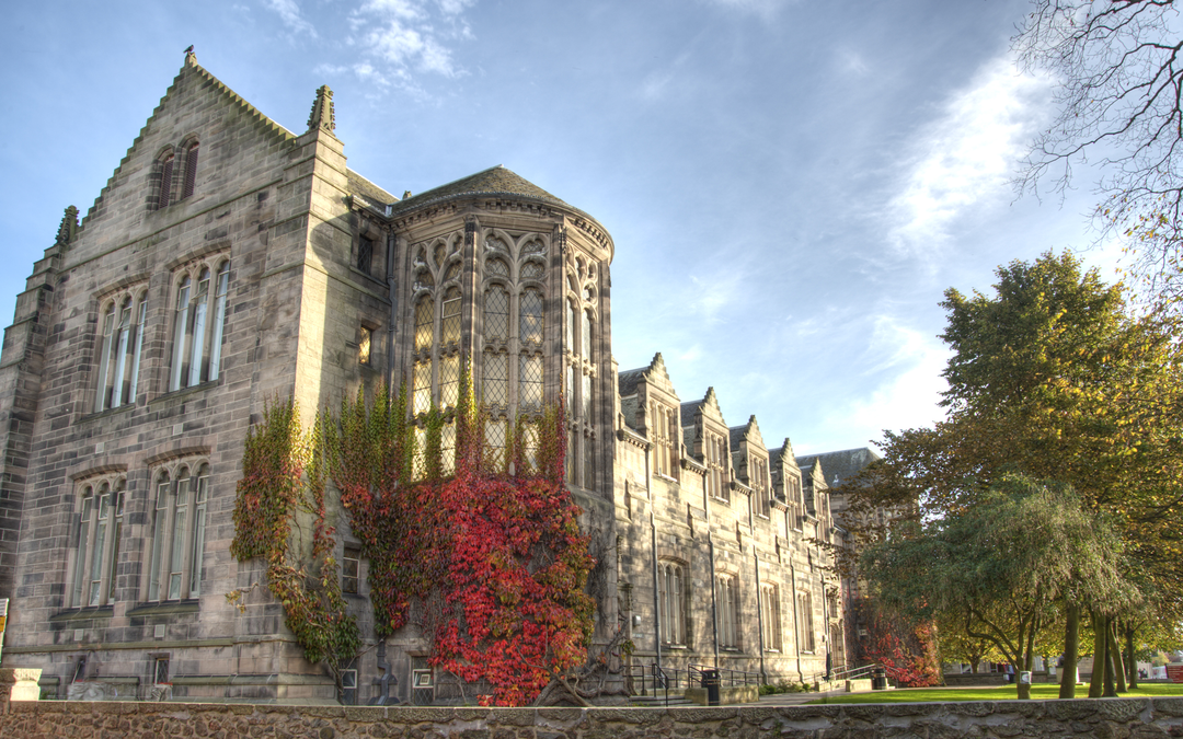 Law with options in Economics, LLB