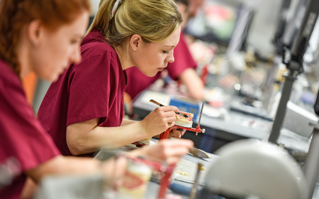 Dental Technology, DipHE